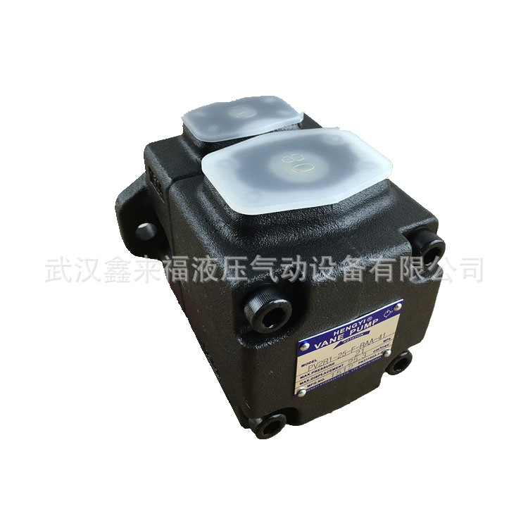 柱塞泵同時(shí)出現(xiàn)振動(dòng)和噪聲問題該怎么辦？